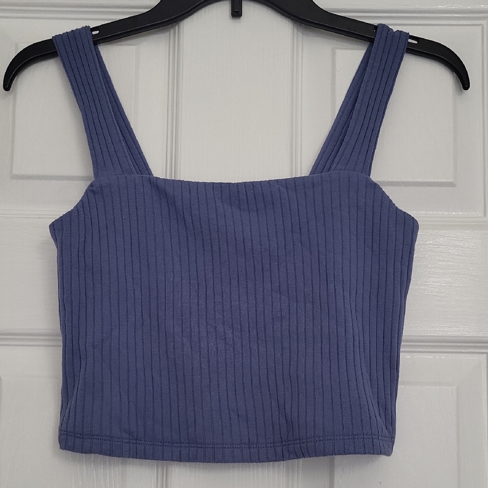 American Eagle Outfitters Blue Ribbed Crop Tank Top